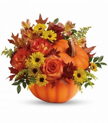 Warm Fall Wishes Warm Fall Wishes
